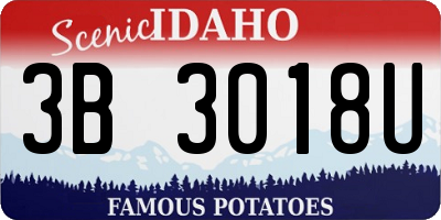 ID license plate 3B3018U