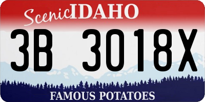 ID license plate 3B3018X