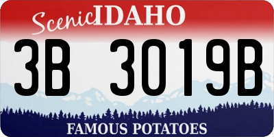 ID license plate 3B3019B