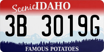 ID license plate 3B3019G