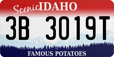 ID license plate 3B3019T