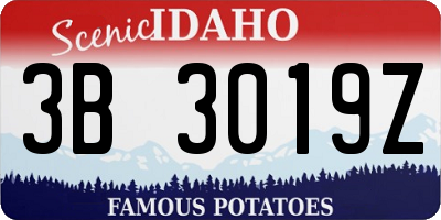 ID license plate 3B3019Z