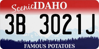 ID license plate 3B3021J