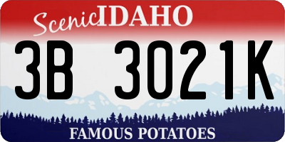 ID license plate 3B3021K