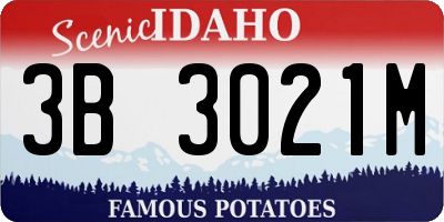 ID license plate 3B3021M