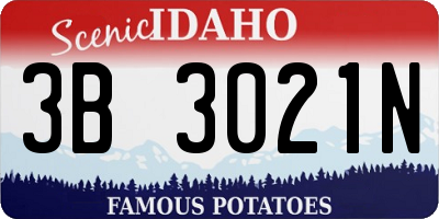 ID license plate 3B3021N