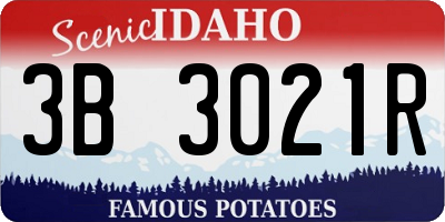 ID license plate 3B3021R