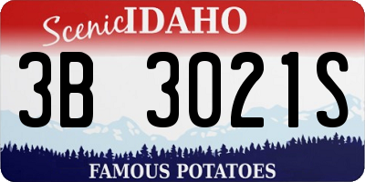 ID license plate 3B3021S