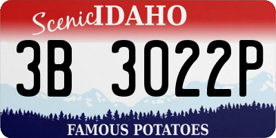 ID license plate 3B3022P