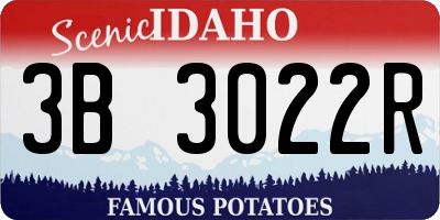 ID license plate 3B3022R