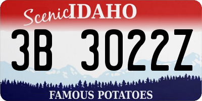 ID license plate 3B3022Z