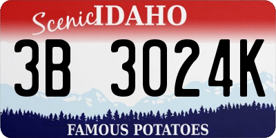ID license plate 3B3024K