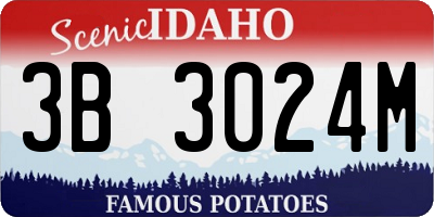 ID license plate 3B3024M