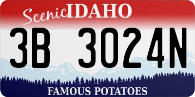 ID license plate 3B3024N