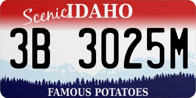 ID license plate 3B3025M
