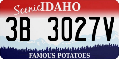 ID license plate 3B3027V