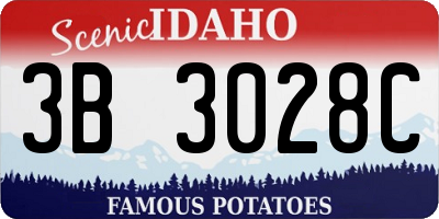 ID license plate 3B3028C