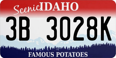 ID license plate 3B3028K