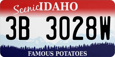 ID license plate 3B3028W