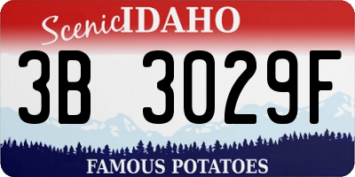 ID license plate 3B3029F