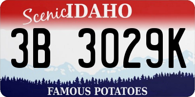 ID license plate 3B3029K