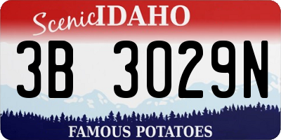 ID license plate 3B3029N