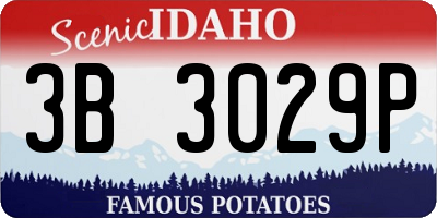 ID license plate 3B3029P