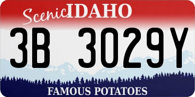 ID license plate 3B3029Y