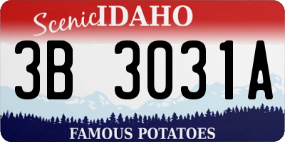 ID license plate 3B3031A