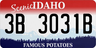 ID license plate 3B3031B