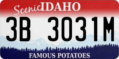 ID license plate 3B3031M
