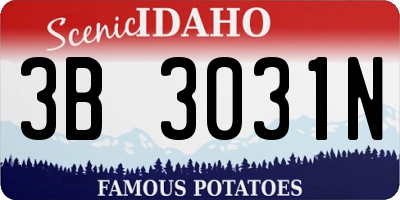ID license plate 3B3031N
