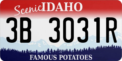 ID license plate 3B3031R