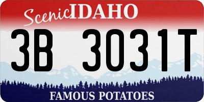 ID license plate 3B3031T