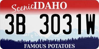 ID license plate 3B3031W