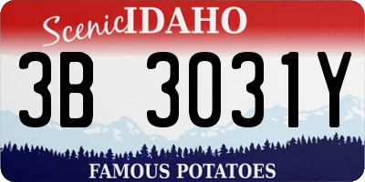 ID license plate 3B3031Y