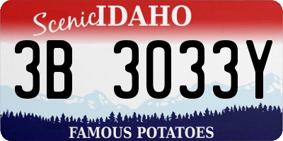 ID license plate 3B3033Y