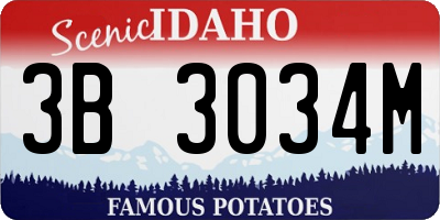 ID license plate 3B3034M