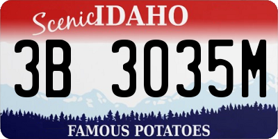 ID license plate 3B3035M