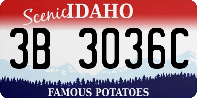 ID license plate 3B3036C