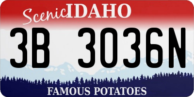 ID license plate 3B3036N