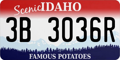 ID license plate 3B3036R