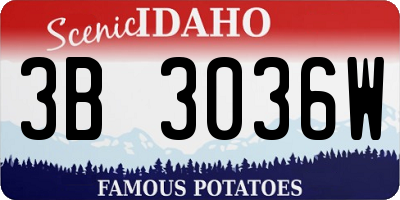 ID license plate 3B3036W