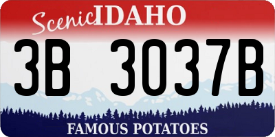 ID license plate 3B3037B