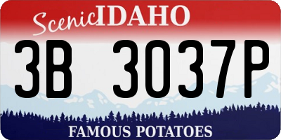 ID license plate 3B3037P