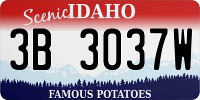 ID license plate 3B3037W