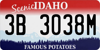 ID license plate 3B3038M