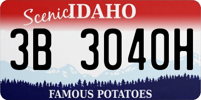 ID license plate 3B3040H
