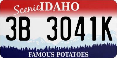 ID license plate 3B3041K