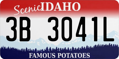 ID license plate 3B3041L